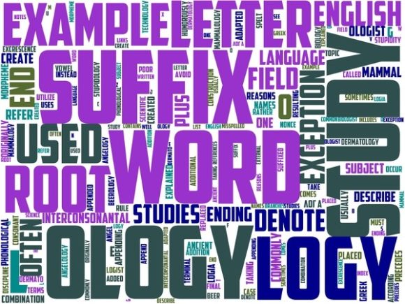 Coalitionology Wordart Wallpaper