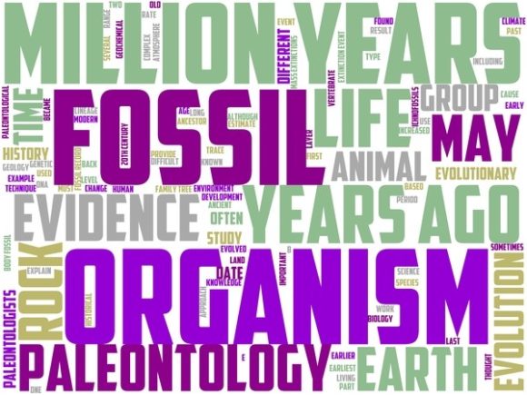 Dinosaurology Wordart Book Cover: A Vibrant, Versatile Design Tool for Creatives and Entrepreneurs