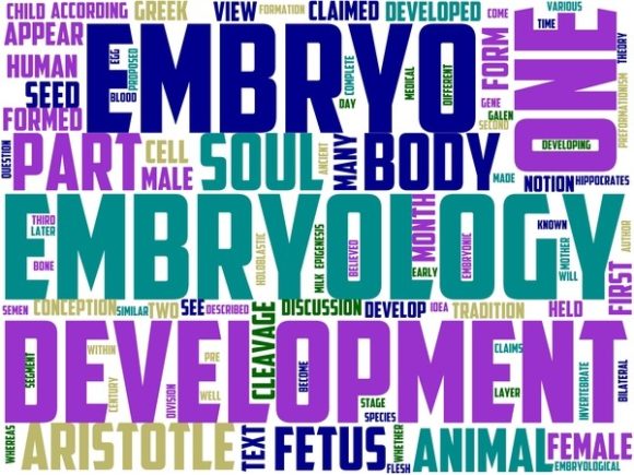 Embryology Wordart Tie Dye