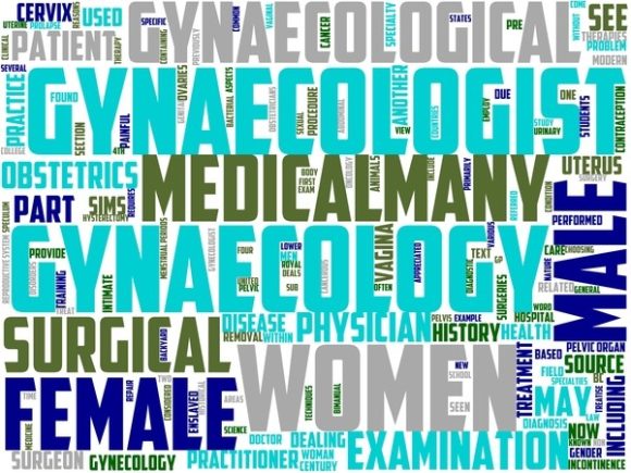 Gynaecology Wordart Skinny Tumbler
